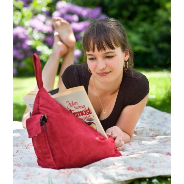 Book Seat Tegneserie 