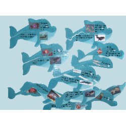 Hvaler - Havets kmper - Filer til download