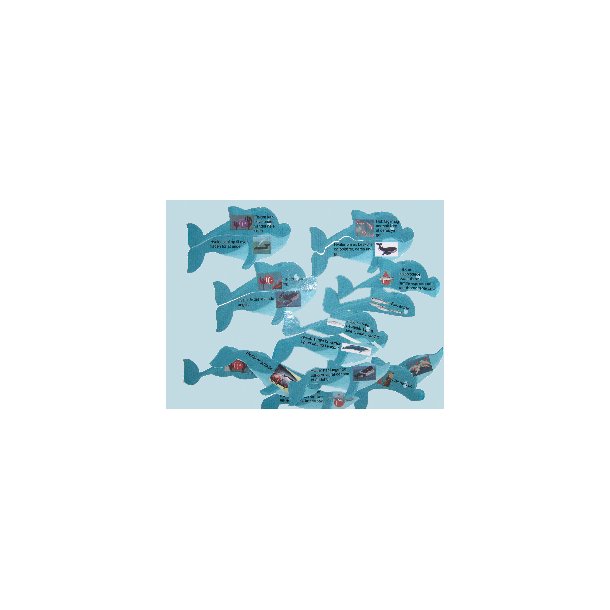 Hvaler - Havets kmper - Filer til download