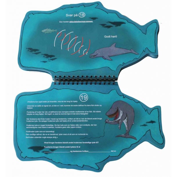 Hvaler - Havets kmper - Rammebog