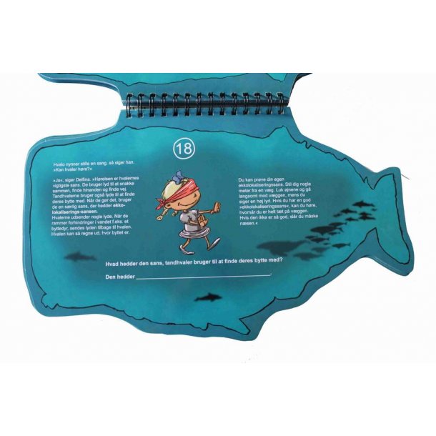 Hvaler - Havets kmper - Rammebog