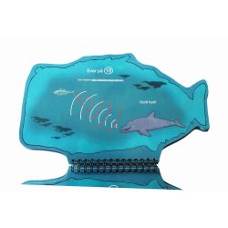 Hvaler - Havets kmper - Rammebog